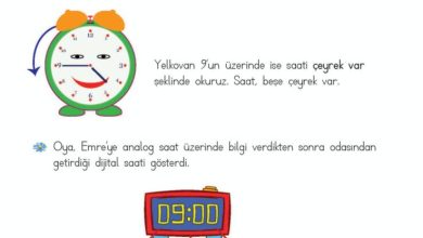 2. Sınıf Matematik Meb Yayınları Sayfa 211 Cevapları