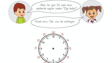 2. Sınıf Matematik Meb Yayınları Sayfa 212 Cevapları