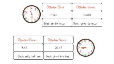 2. Sınıf Matematik Meb Yayınları Sayfa 213 Cevapları