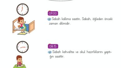 2. Sınıf Matematik Meb Yayınları Sayfa 214 Cevapları