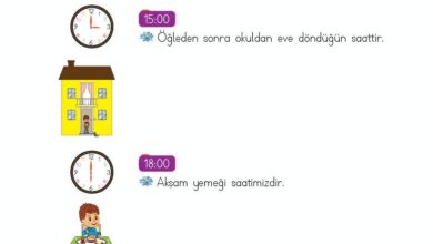 2. Sınıf Matematik Meb Yayınları Sayfa 215 Cevapları