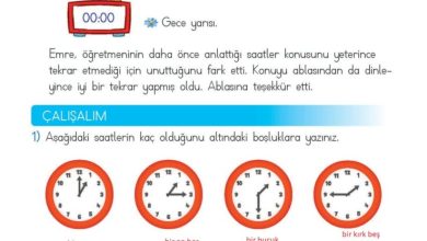 2. Sınıf Matematik Meb Yayınları Sayfa 216 Cevapları