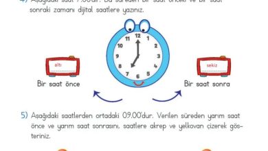 2. Sınıf Matematik Meb Yayınları Sayfa 217 Cevapları