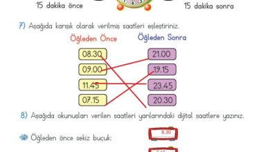 2. Sınıf Matematik Meb Yayınları Sayfa 218 Cevapları