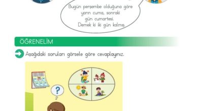 2. Sınıf Matematik Meb Yayınları Sayfa 219 Cevapları