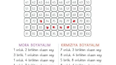 2. Sınıf Matematik Meb Yayınları Sayfa 22 Cevapları