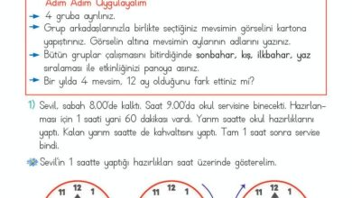 2. Sınıf Matematik Meb Yayınları Sayfa 220 Cevapları