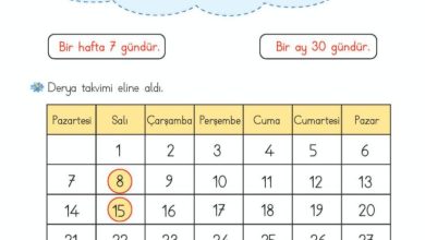 2. Sınıf Matematik Meb Yayınları Sayfa 222 Cevapları