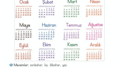 2. Sınıf Matematik Meb Yayınları Sayfa 223 Cevapları