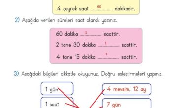 2. Sınıf Matematik Meb Yayınları Sayfa 224 Cevapları