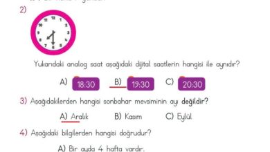 2. Sınıf Matematik Meb Yayınları Sayfa 225 Cevapları