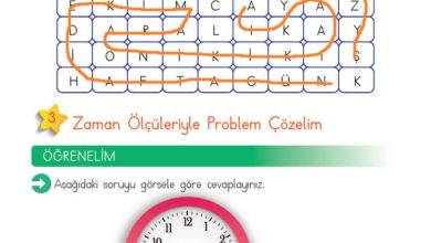 2. Sınıf Matematik Meb Yayınları Sayfa 226 Cevapları