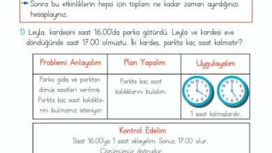 2. Sınıf Matematik Meb Yayınları Sayfa 227 Cevapları