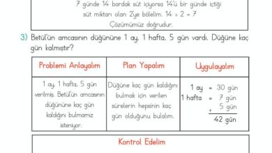 2. Sınıf Matematik Meb Yayınları Sayfa 228 Cevapları