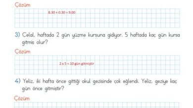 2. Sınıf Matematik Meb Yayınları Sayfa 229 Cevapları