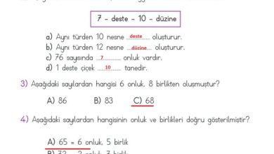 2. Sınıf Matematik Meb Yayınları Sayfa 23 Cevapları