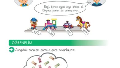 2. Sınıf Matematik Meb Yayınları Sayfa 231 Cevapları