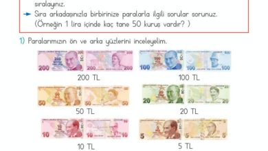 2. Sınıf Matematik Meb Yayınları Sayfa 232 Cevapları