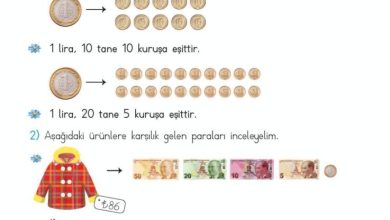 2. Sınıf Matematik Meb Yayınları Sayfa 233 Cevapları