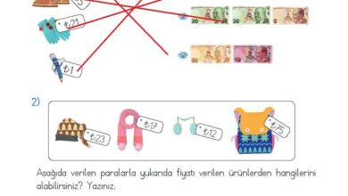 2. Sınıf Matematik Meb Yayınları Sayfa 234 Cevapları