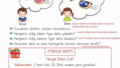 2. Sınıf Matematik Meb Yayınları Sayfa 235 Cevapları