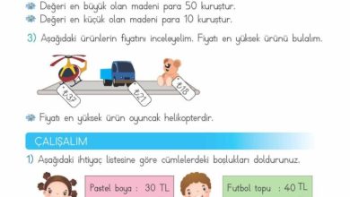 2. Sınıf Matematik Meb Yayınları Sayfa 236 Cevapları