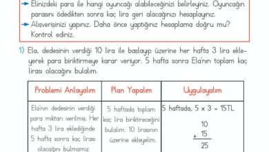 2. Sınıf Matematik Meb Yayınları Sayfa 238 Cevapları