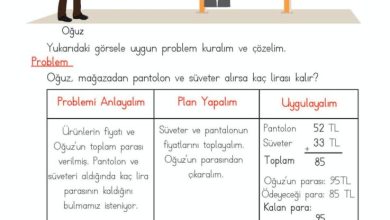 2. Sınıf Matematik Meb Yayınları Sayfa 239 Cevapları