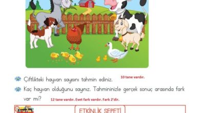 2. Sınıf Matematik Meb Yayınları Sayfa 24 Cevapları