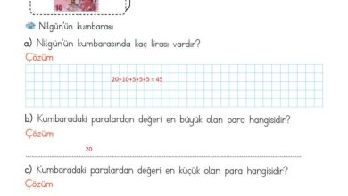 2. Sınıf Matematik Meb Yayınları Sayfa 240 Cevapları