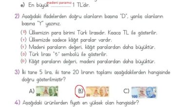 2. Sınıf Matematik Meb Yayınları Sayfa 242 Cevapları