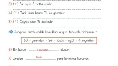 2. Sınıf Matematik Meb Yayınları Sayfa 243 Cevapları