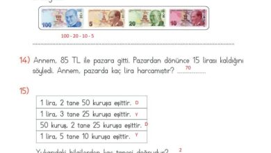 2. Sınıf Matematik Meb Yayınları Sayfa 244 Cevapları