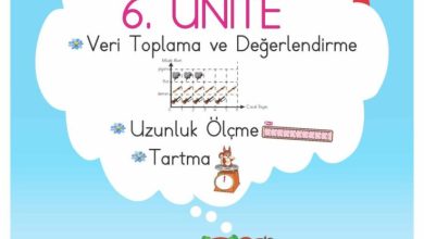 2. Sınıf Matematik Meb Yayınları Sayfa 247 Cevapları