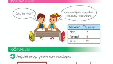 2. Sınıf Matematik Meb Yayınları Sayfa 248 Cevapları