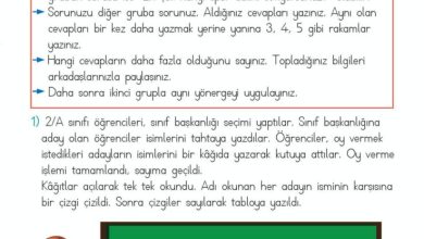 2. Sınıf Matematik Meb Yayınları Sayfa 249 Cevapları