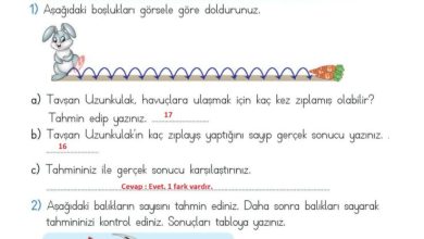 2. Sınıf Matematik Meb Yayınları Sayfa 25 Cevapları