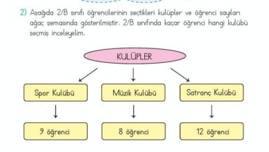 2. Sınıf Matematik Meb Yayınları Sayfa 250 Cevapları