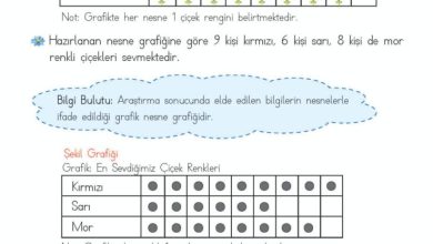 2. Sınıf Matematik Meb Yayınları Sayfa 251 Cevapları