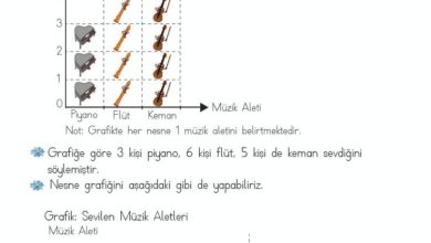 2. Sınıf Matematik Meb Yayınları Sayfa 252 Cevapları