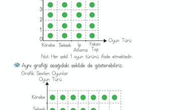 2. Sınıf Matematik Meb Yayınları Sayfa 253 Cevapları