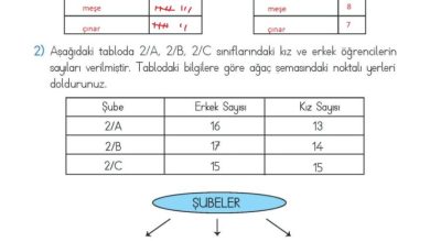 2. Sınıf Matematik Meb Yayınları Sayfa 254 Cevapları