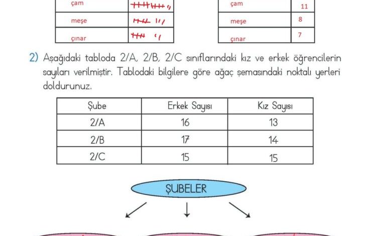 2. Sınıf Matematik Meb Yayınları Sayfa 254 Cevapları