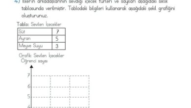 2. Sınıf Matematik Meb Yayınları Sayfa 255 Cevapları