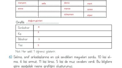 2. Sınıf Matematik Meb Yayınları Sayfa 256 Cevapları