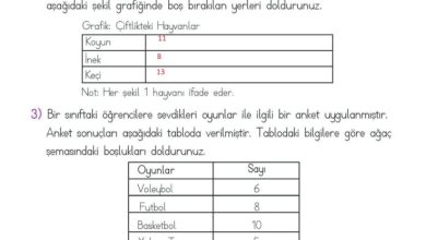 2. Sınıf Matematik Meb Yayınları Sayfa 257 Cevapları