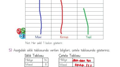 2. Sınıf Matematik Meb Yayınları Sayfa 258 Cevapları