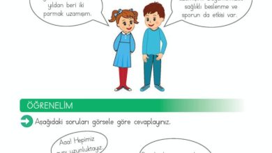 2. Sınıf Matematik Meb Yayınları Sayfa 259 Cevapları