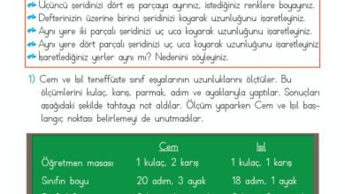 2. Sınıf Matematik Meb Yayınları Sayfa 260 Cevapları