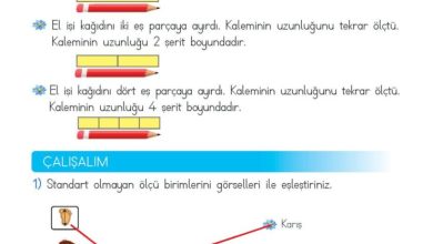 2. Sınıf Matematik Meb Yayınları Sayfa 261 Cevapları